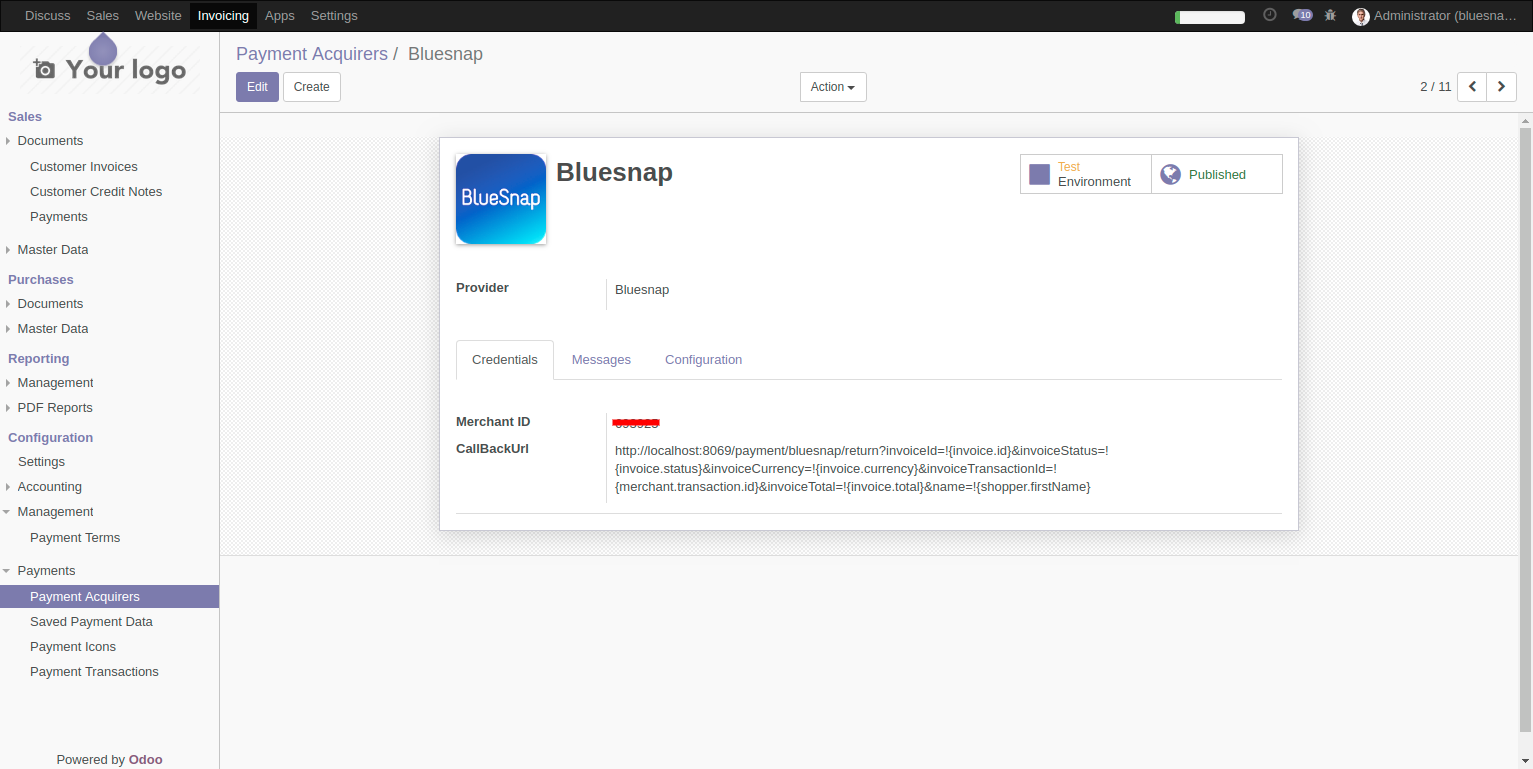 BlueSnap payment configuration 