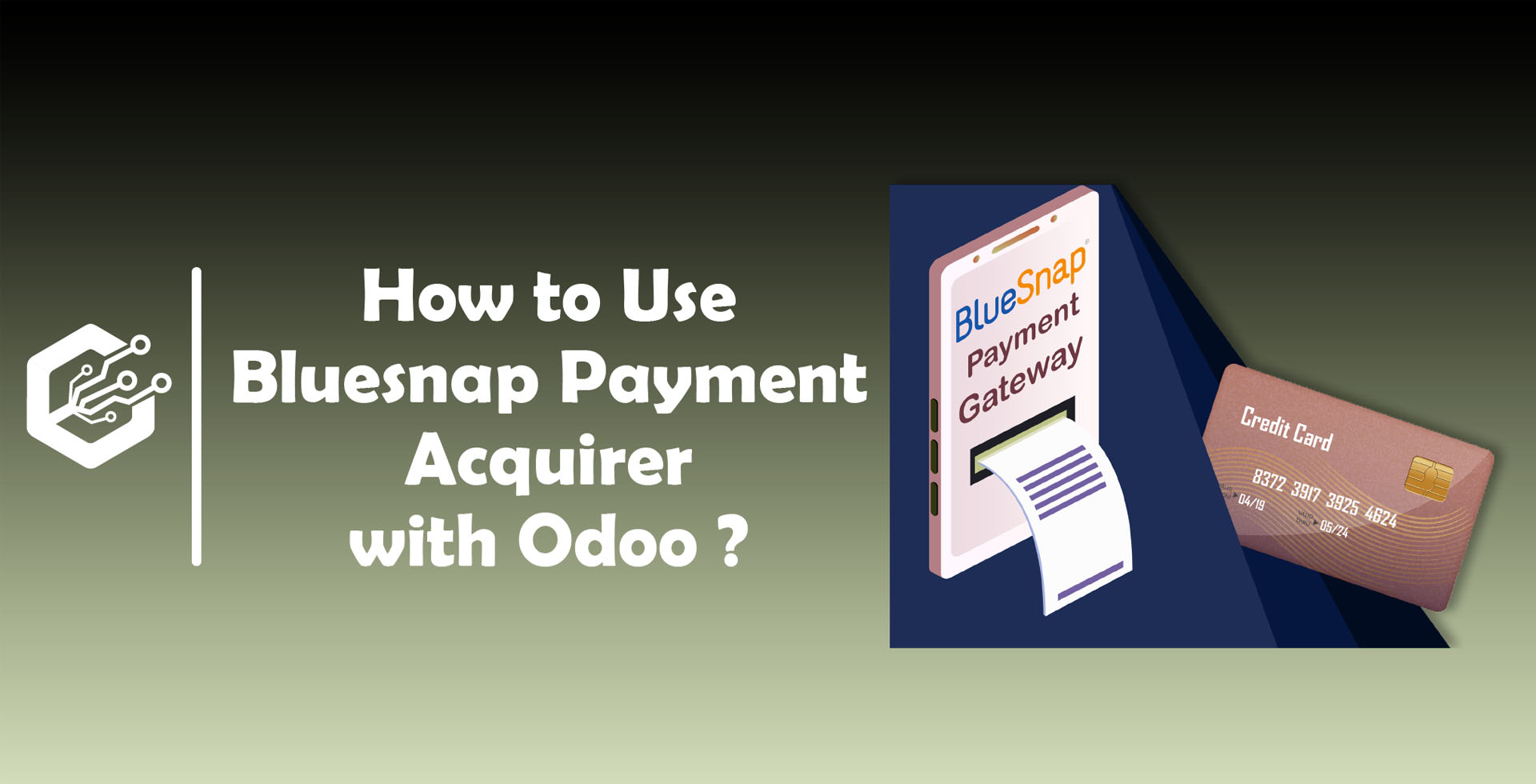 How To Use BlueSnap Payment Acquirer With Odoo ?