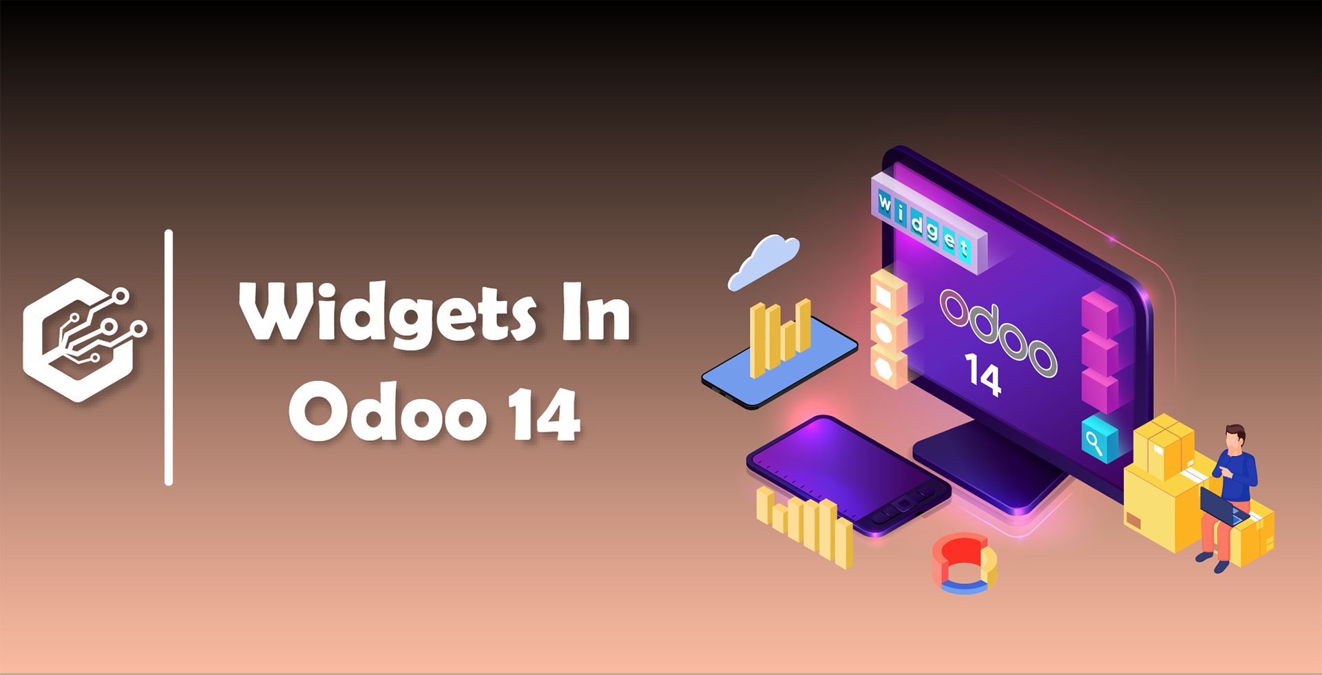 Widgets In Odoo 14